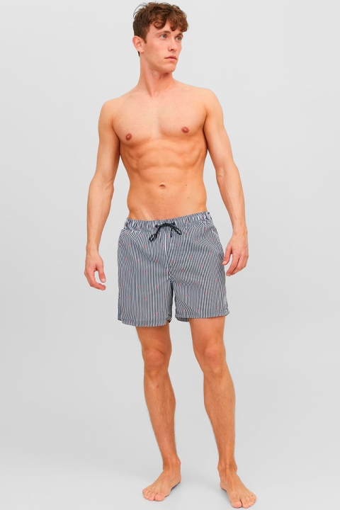 Jack & Jones Fiji Swim Shorts Mini Stripe Navy Blazer