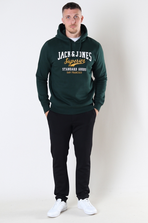 Jack & Jones LOGO SWEAT HOOD 2 COL 22/23 Pine Grove