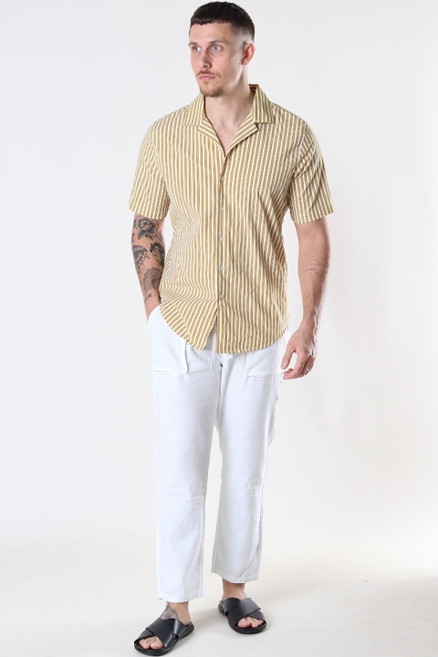 Just Junkies Branc Shirt SS 1099 Misted Yellow