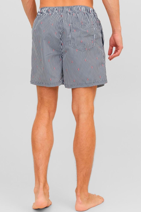 Jack & Jones Fiji Swim Shorts Mini Stripe Navy Blazer