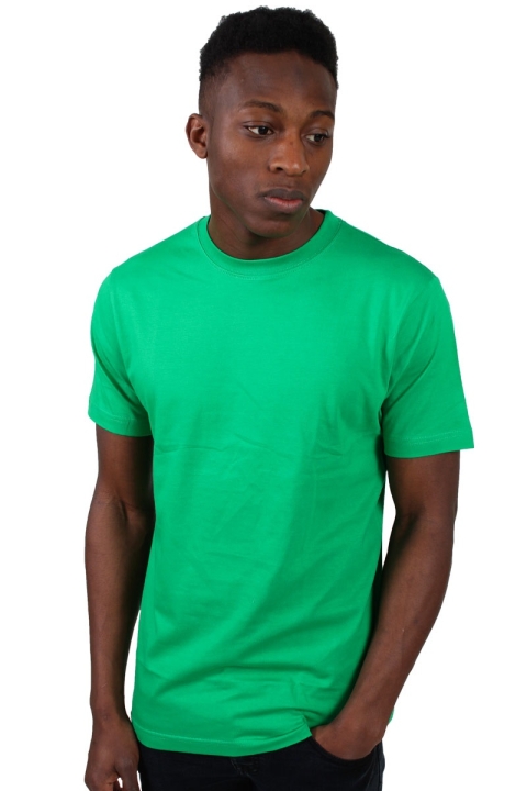 Basic Brand T-skjorte Spring Green 