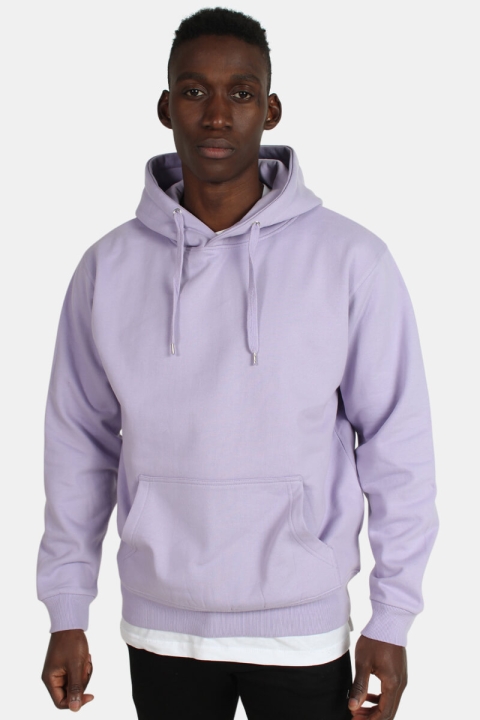 Basic Brand Hooded Genser Lavender