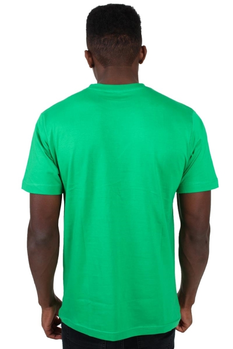 Basic Brand T-skjorte Spring Green 