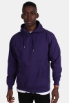 Basic Brand Hooded Genser Violet