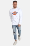 Dickies Harrison Genser White