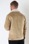 Jack & Jones JJIALVIN JJSHERPA CORDUROY AKM SN Kelp