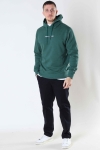 TOMMY JEANS TJM STRAIGHT LOGO HOODIE Rural Green