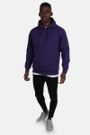 Basic Brand Hooded Genser Violet