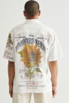 Woodbird Banks Seeds Shirt Off White