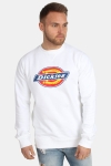 Dickies Harrison Genser White