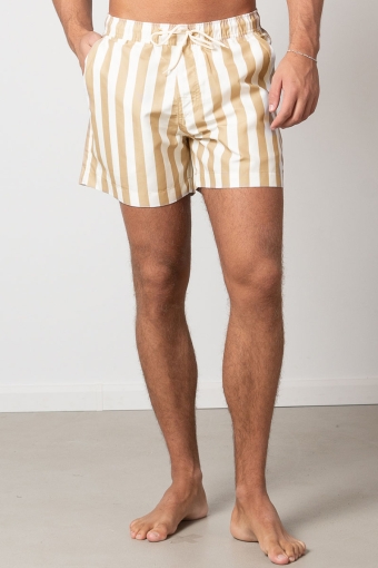 Swim Shorts Khaki Stripe